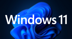 Procreate for Windows 11